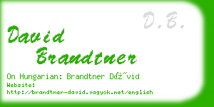 david brandtner business card
